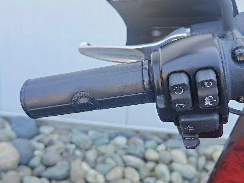 2019 Harley-davidson Flsb - Sport Glide alt