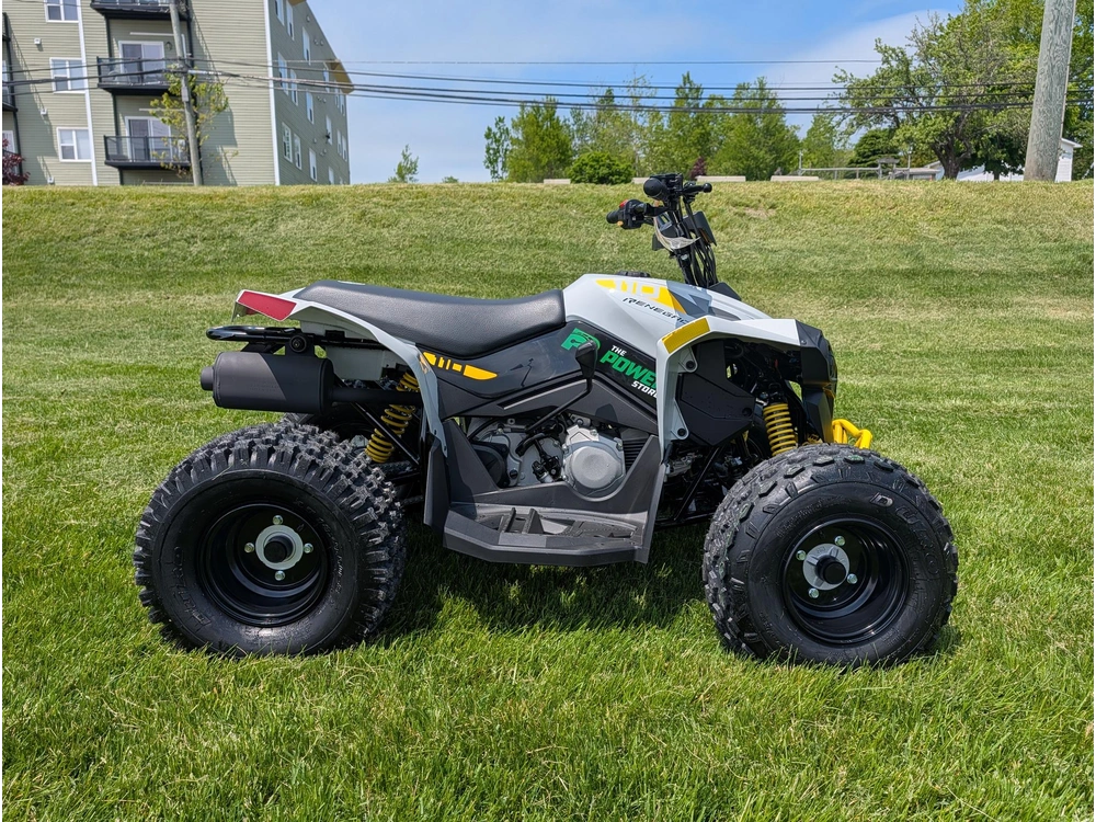 2026 Can-am Renegade 110 Efi alt