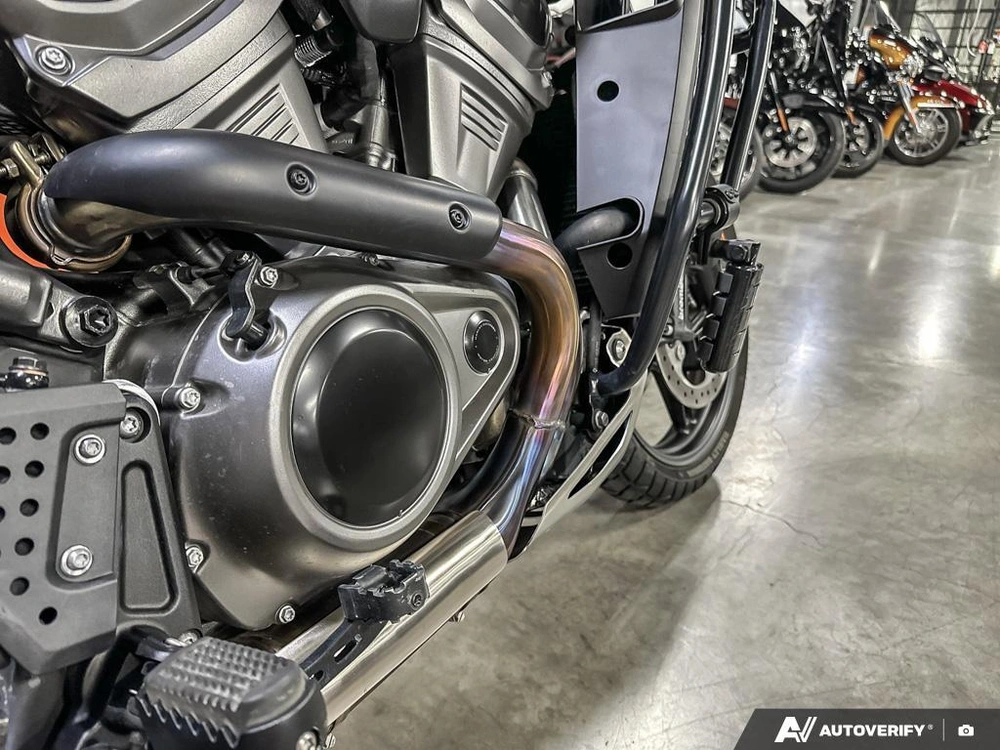 2023 Harley-davidson Pan America Special alt