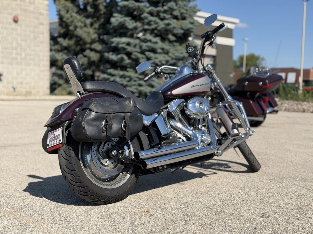 2007 Harley-davidson Fxstd alt