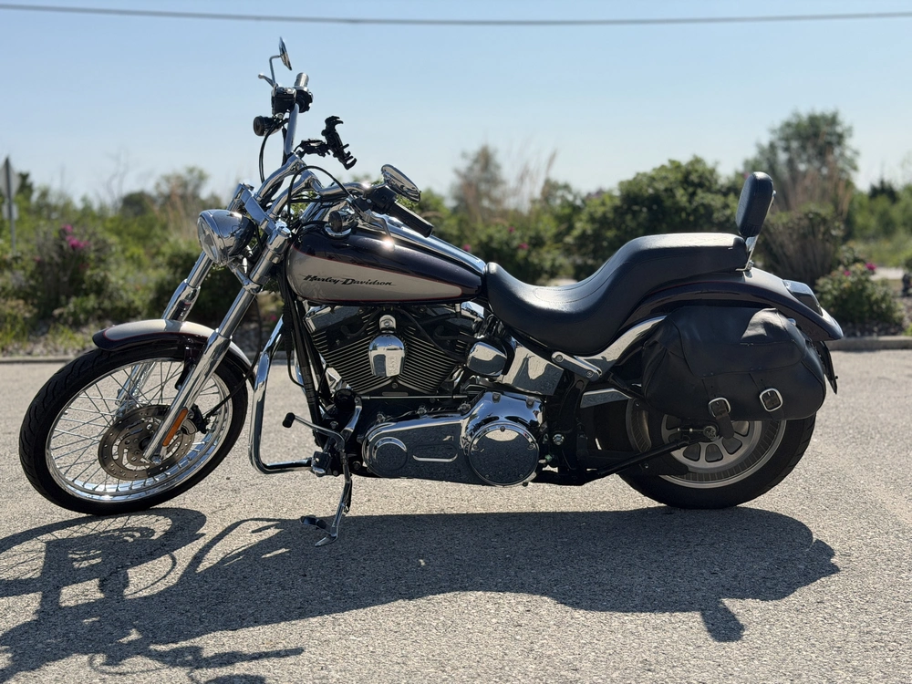 2007 Harley-davidson Fxstd alt