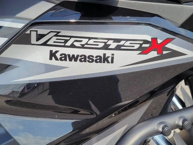 Kawasaki Versys X 2019 alt