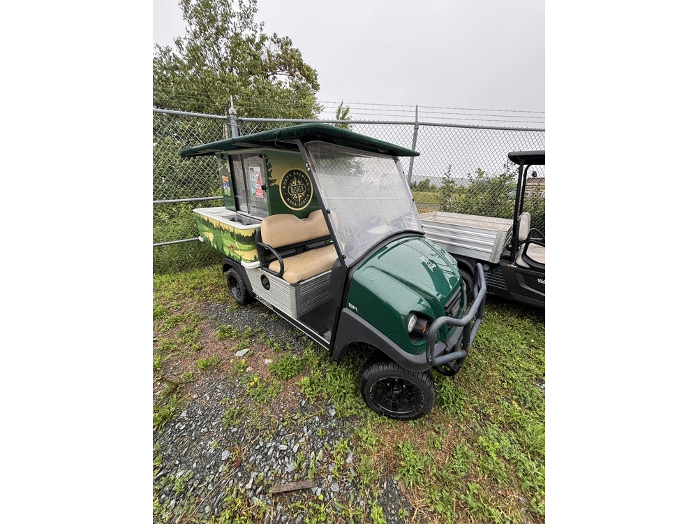 2015 Club Car Carry All Express alt