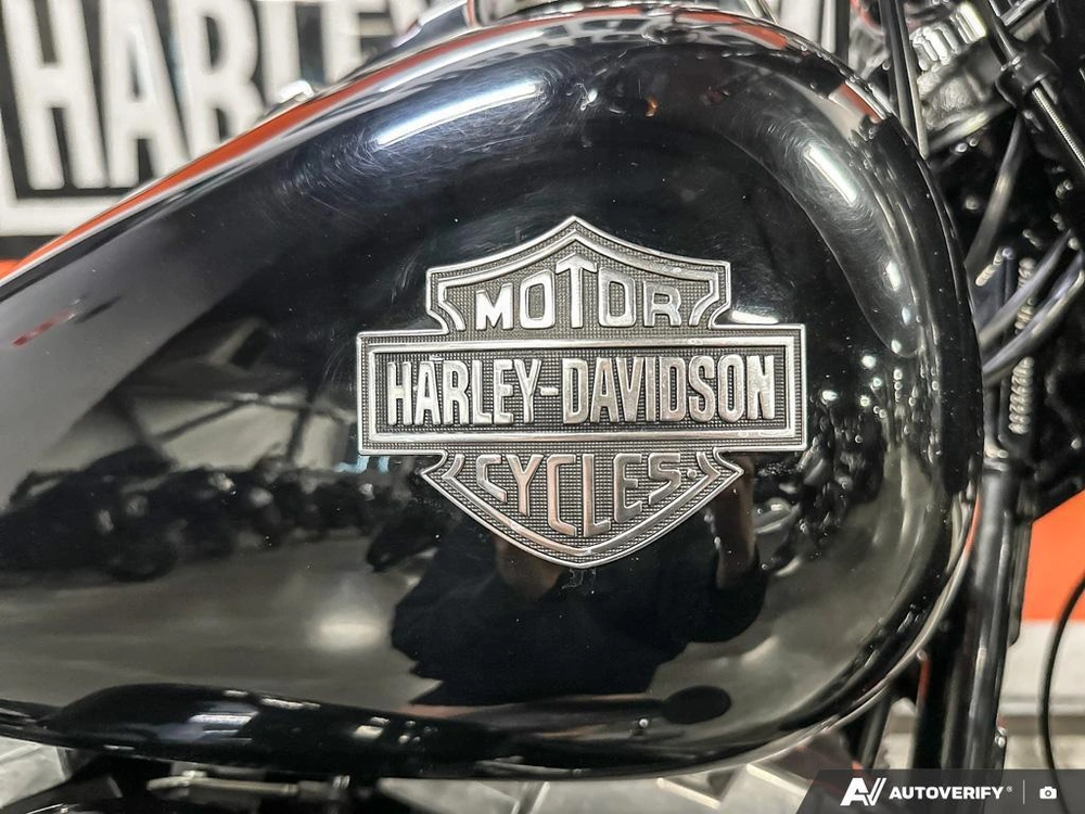 2013 Harley-davidson Slim alt