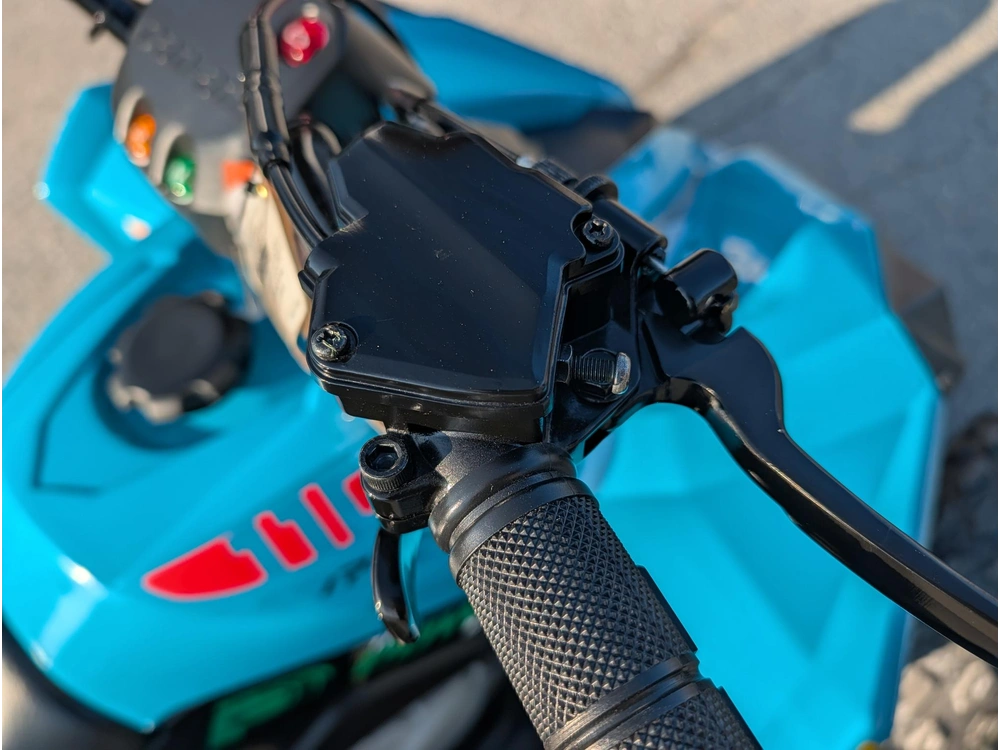2026 Can-am Renegade 110 Efi alt