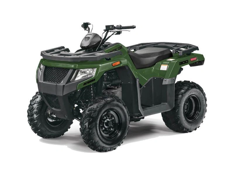 2026 Arctic Cat Alterra 300 alt