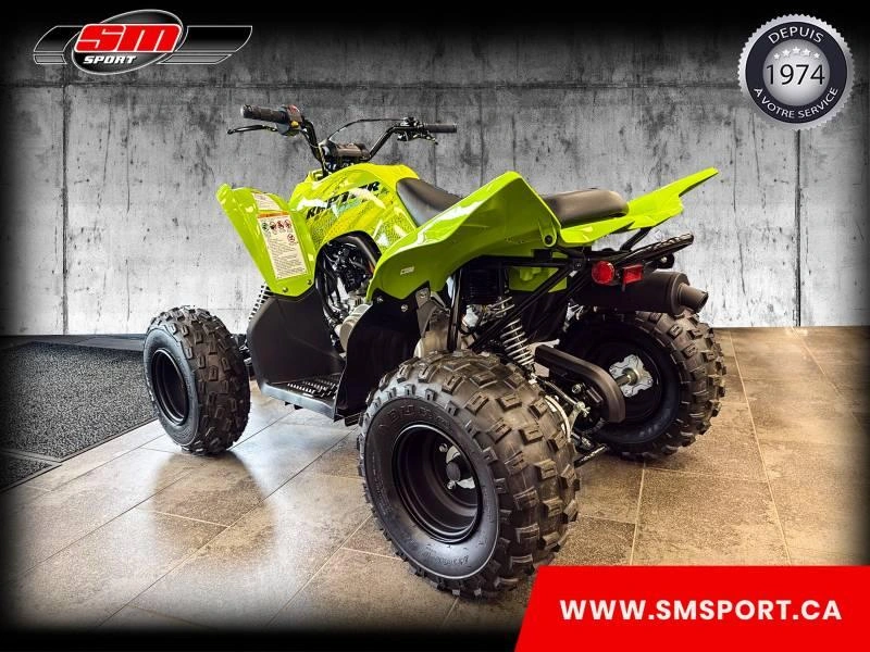 2026 Yamaha Raptor 110 alt