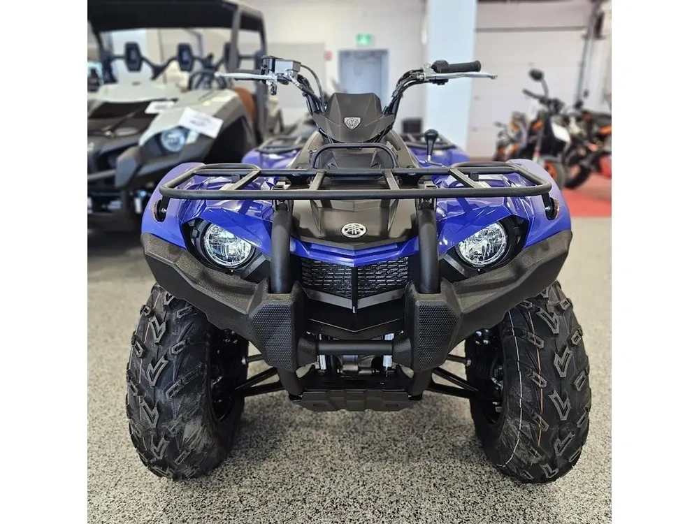 2026 Yamaha Kodiak 450 alt
