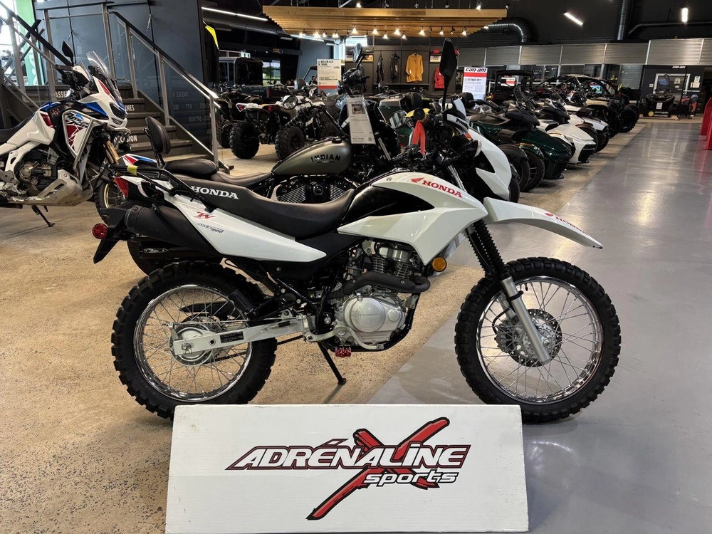 Honda Xr150 2024 alt