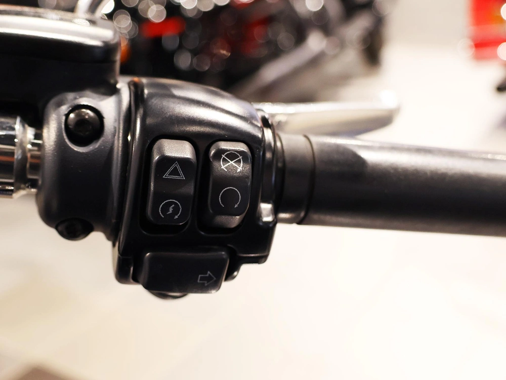 Harley-davidson Fat Boy Flfbs 2019 alt