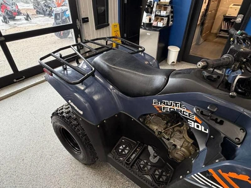 2024 Kawasaki Kawasaki Brute Force 300 2x4 alt