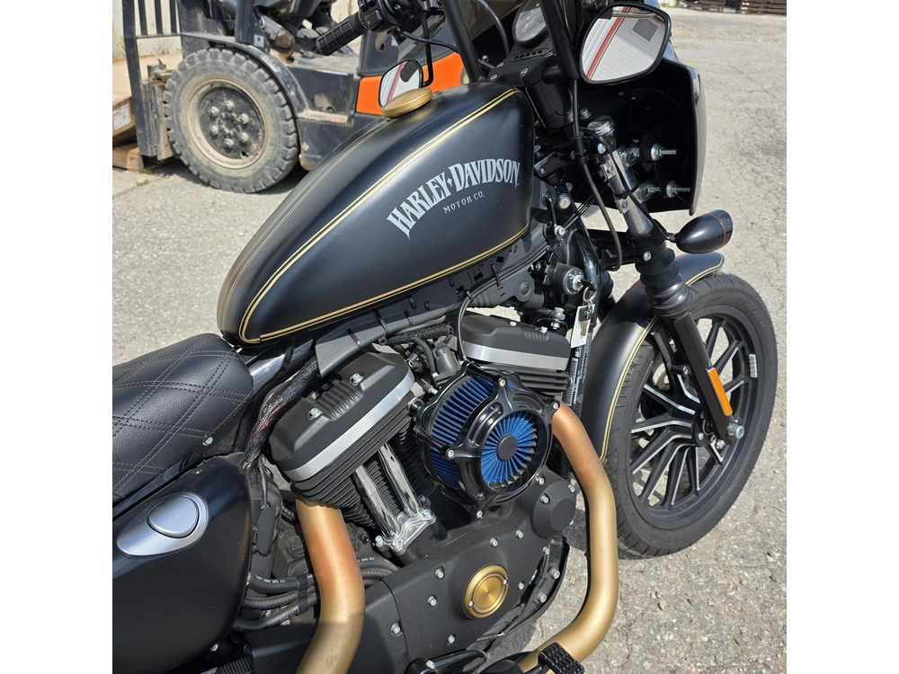 2015 Harley-davidson Xl883n - Sportster Iron 883 alt