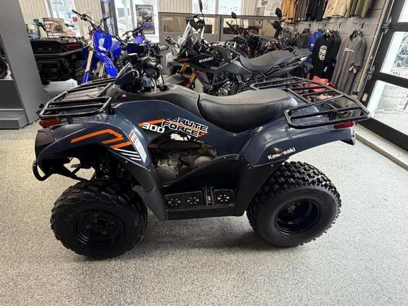 2024 Kawasaki Kawasaki Brute Force 300 2x4 alt