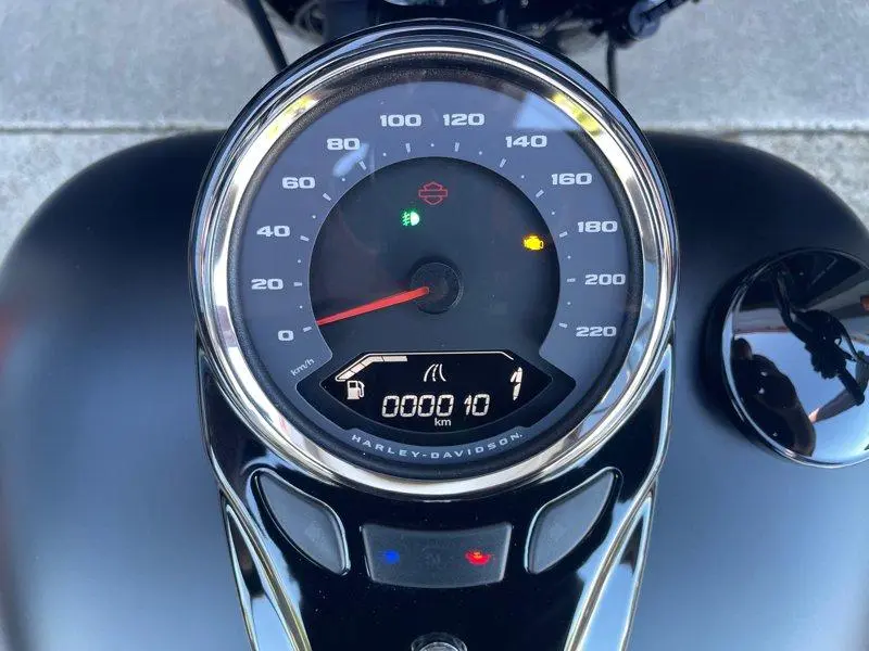 2026 Harley-davidson Cruiser Flhd - Deadwood™ alt