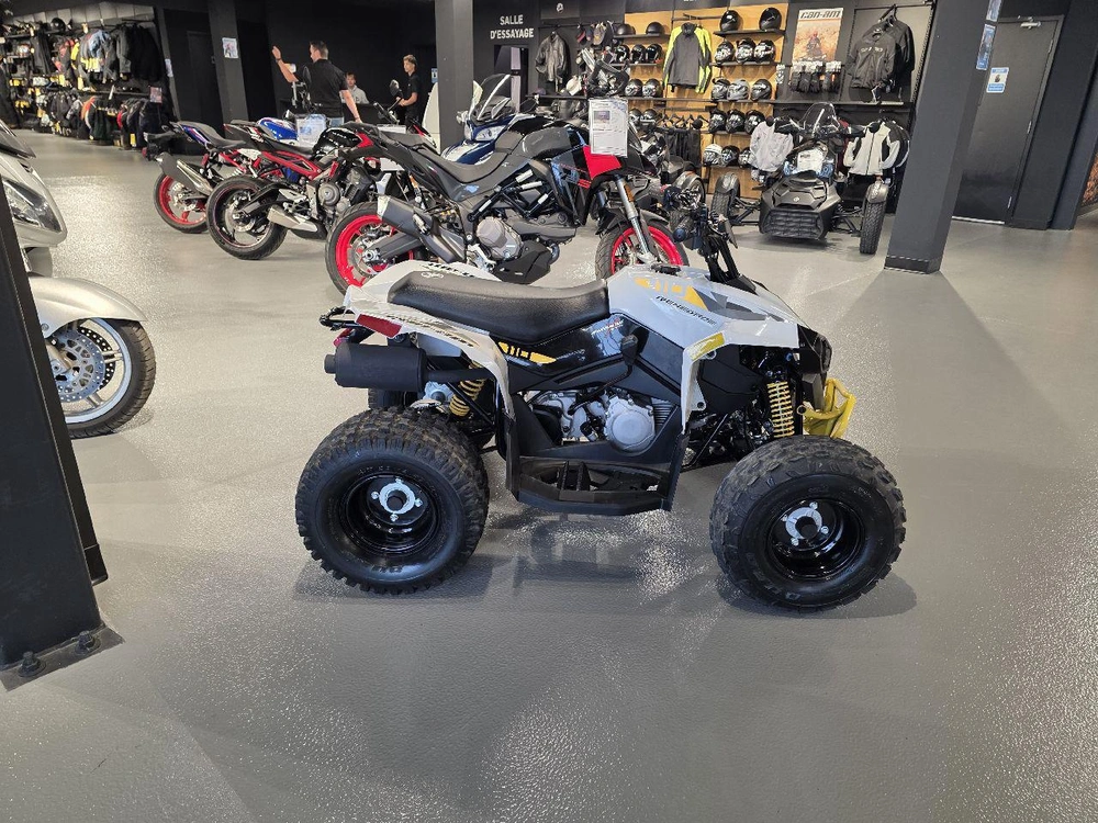 Can-am Renegade 110 Efi 2026 alt