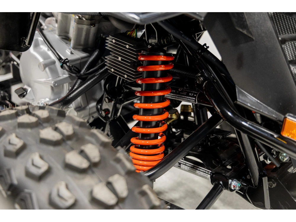 2026 Can-am Ds 250 3jta alt