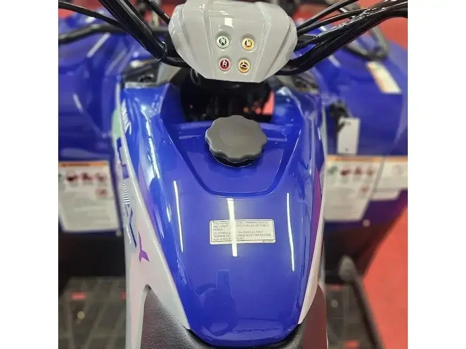 2026 Yamaha Grizzly 110 alt