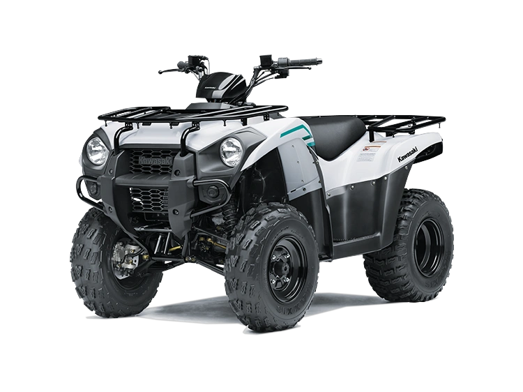 2022 Kawasaki Brute Force 300 alt