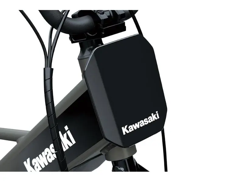 Kawasaki ELEKTRODE 20FS 2027