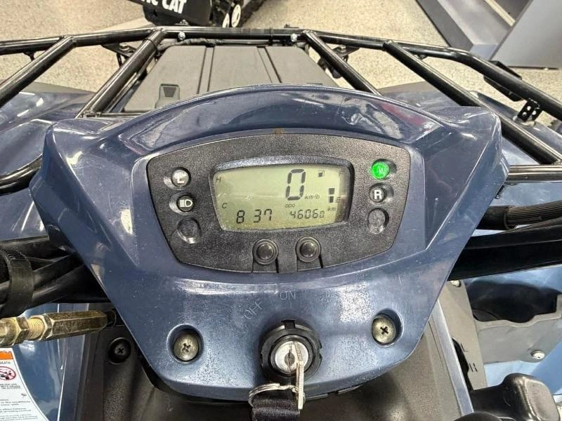2024 Kawasaki Kawasaki Brute Force 300 2x4 alt