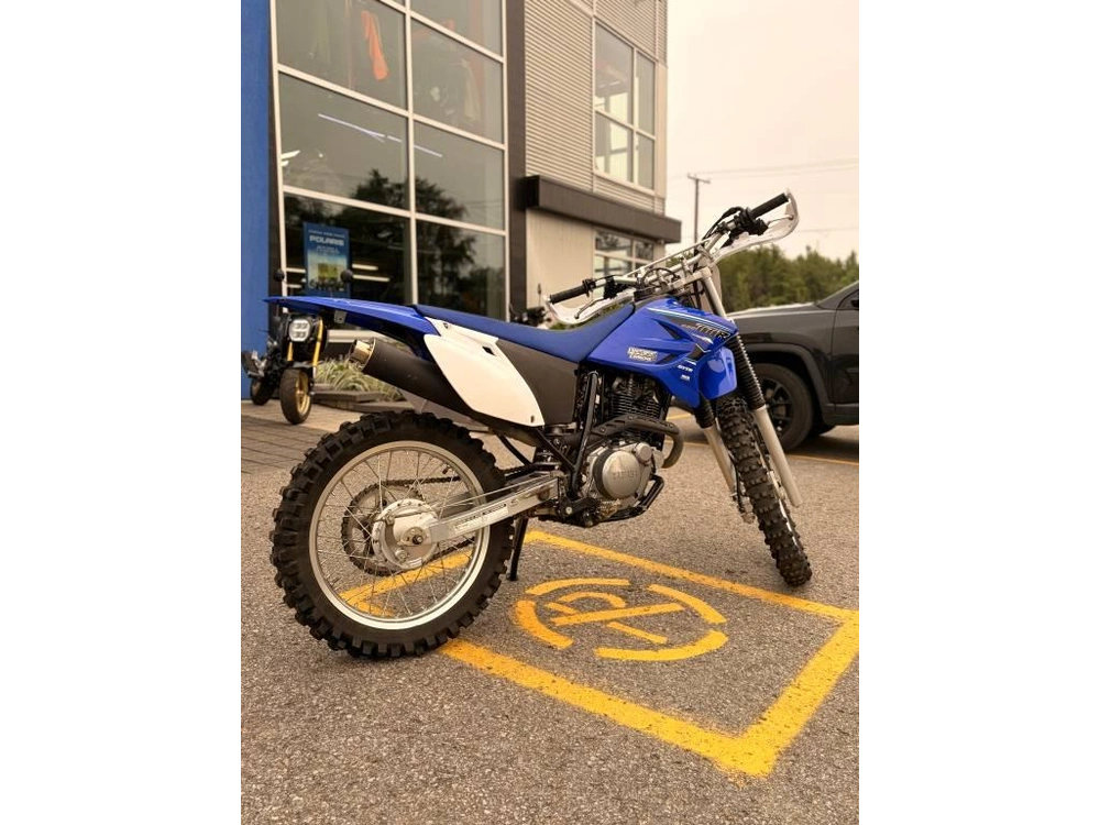 Yamaha Ttr 230 2021 alt