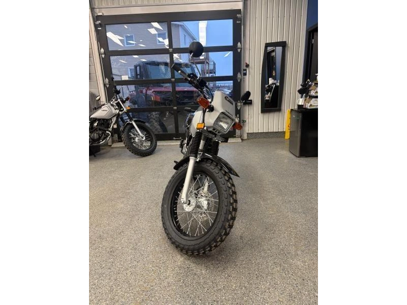 2026 Yamaha Yamaha Tw 200 alt
