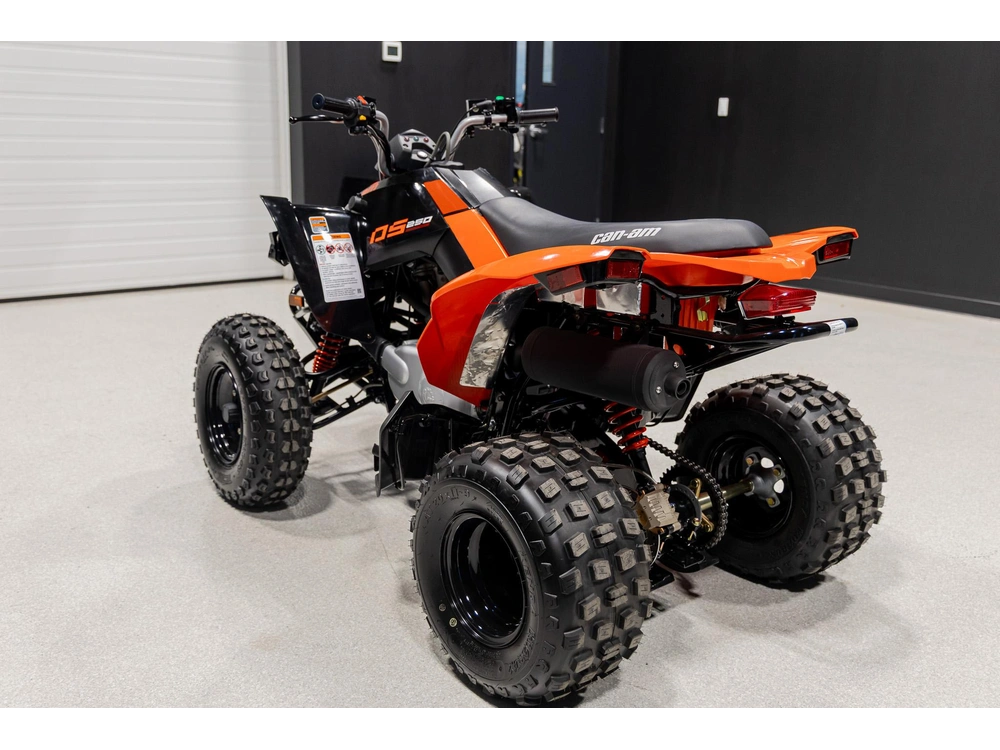 2026 Can-am Ds 250 3jta alt