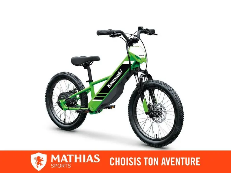 2027 Kawasaki Elektrode 20 alt