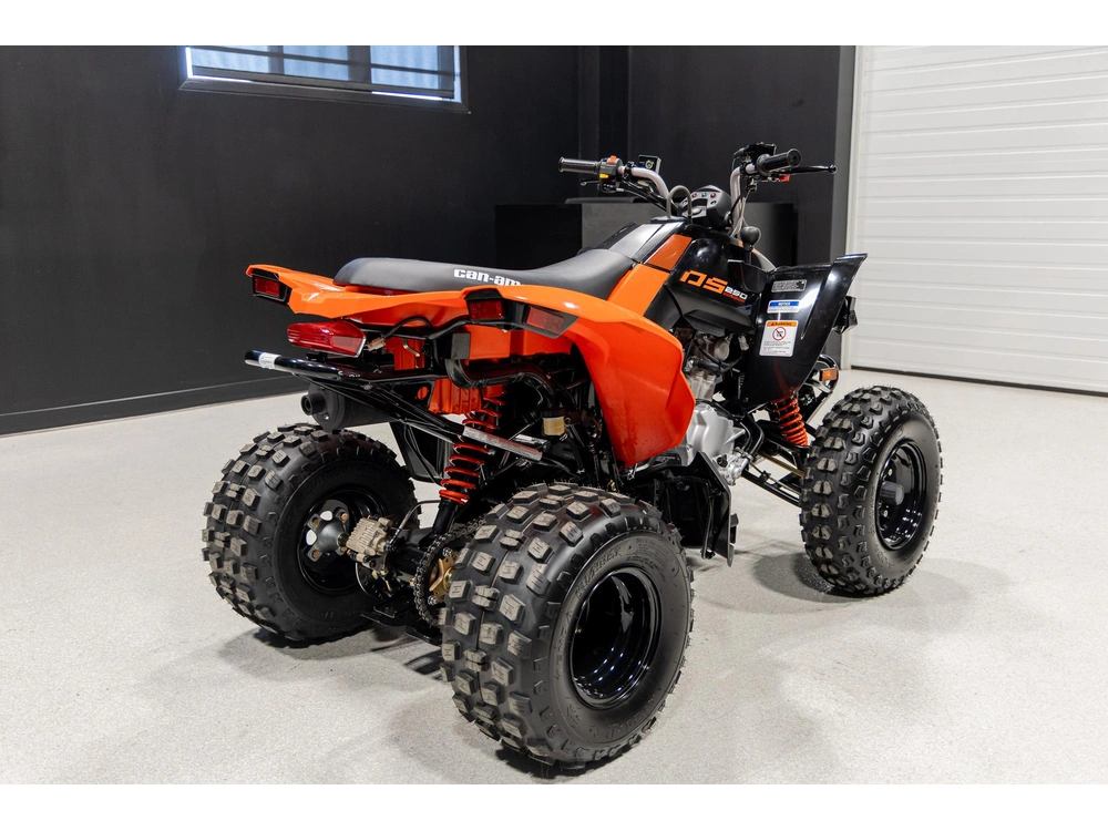 2026 Can-am Ds 250 3jta alt