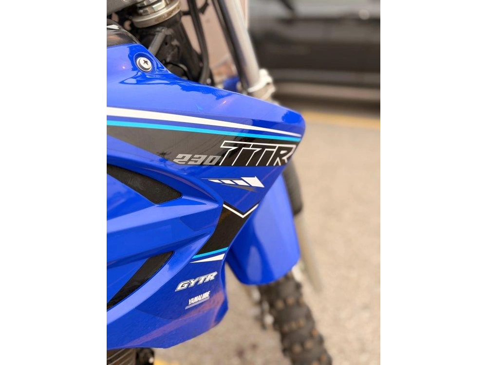Yamaha Ttr 230 2021 alt