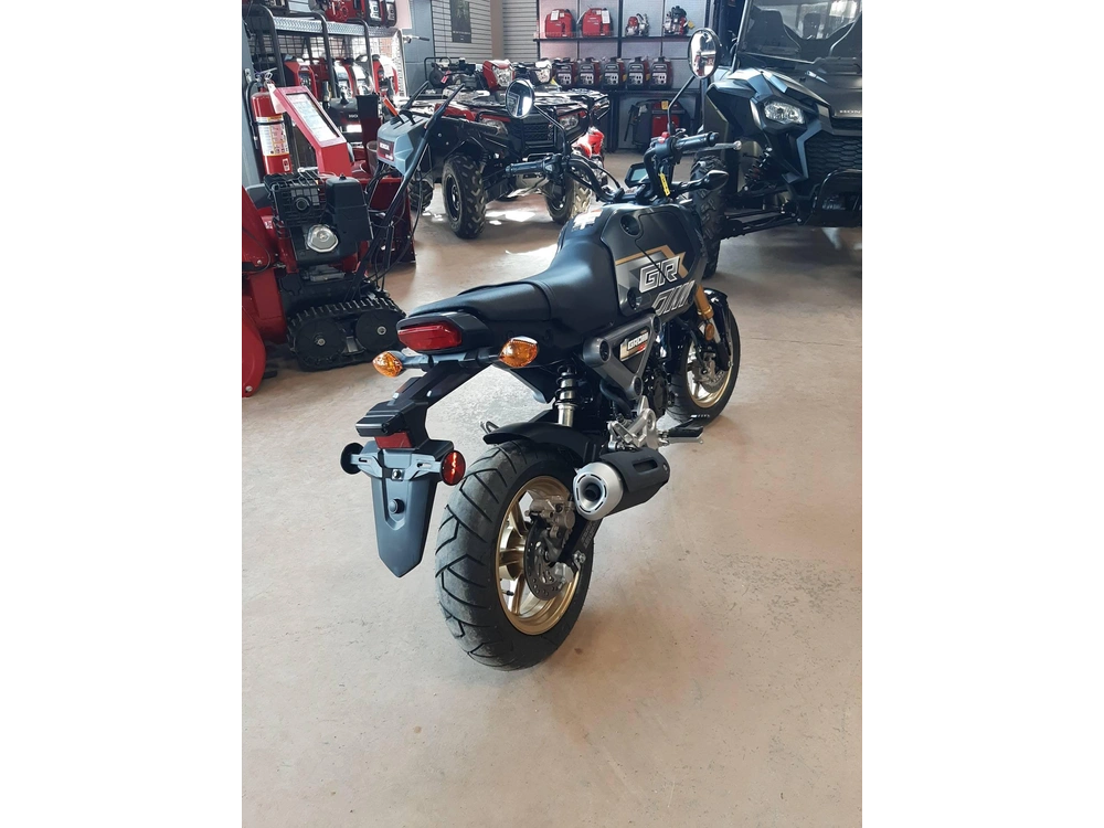 2024 Honda Grom alt
