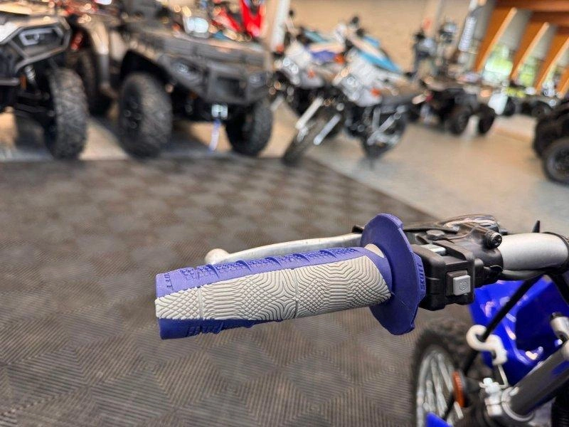 2024 Yamaha Tt-r125le alt
