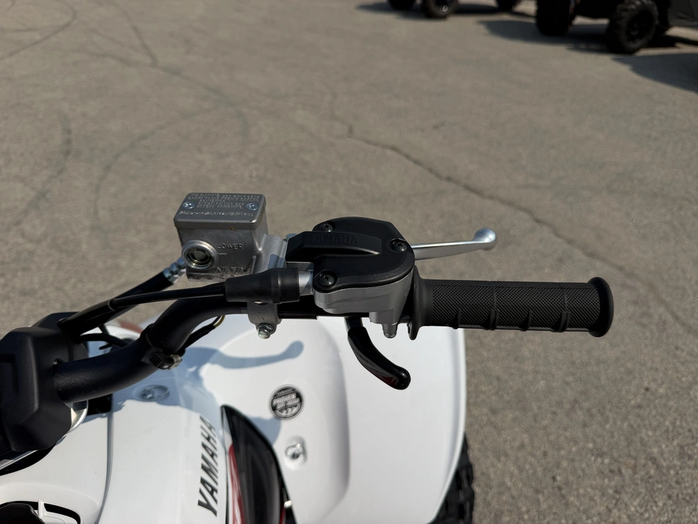 2026 Yamaha Yfz450r Se alt
