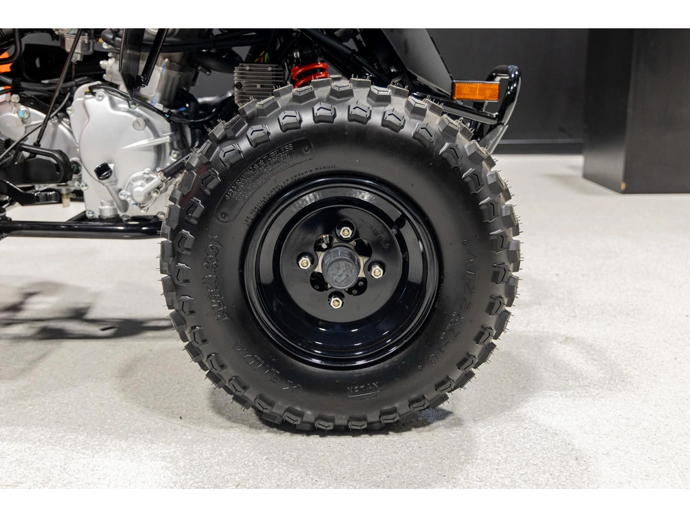 2026 Can-am Ds 250 3jta alt
