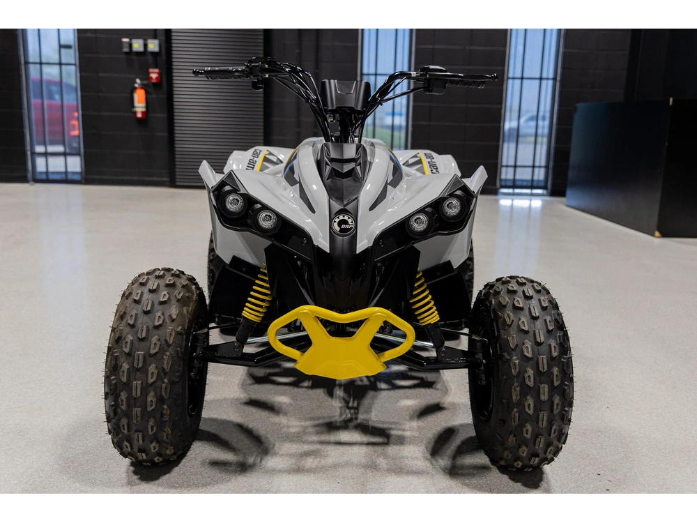 2026 Can-am Renegade 110 3mtc alt