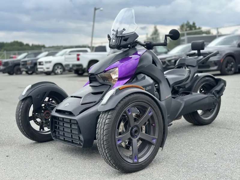 Can-Am RYKER 600 ACE 2019