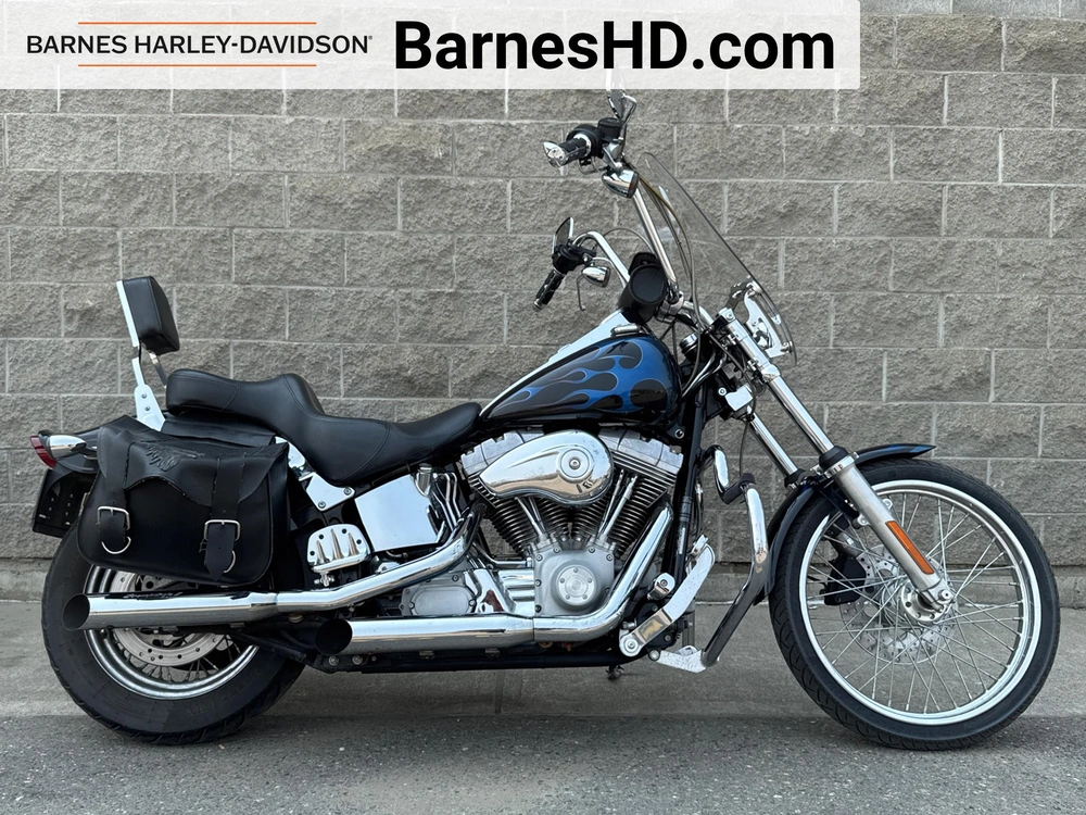 2004 Harley-davidson Fxsti - Softail® Standard alt