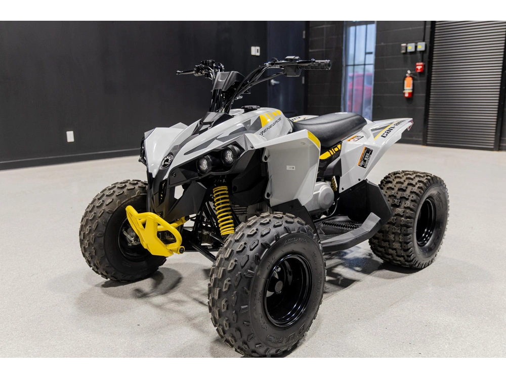 2026 Can-am Renegade 110 3mtc alt