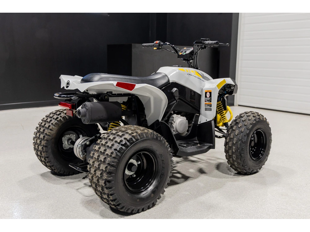 2026 Can-am Renegade 110 3mtc alt