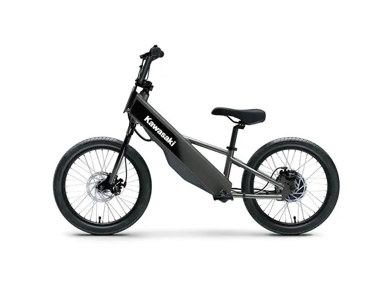 2027 Kawasaki Elektrode 20fs alt