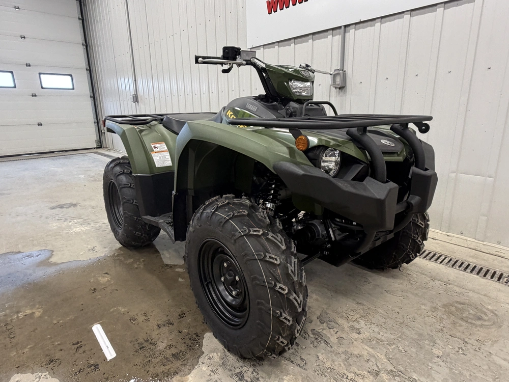 2026 Yamaha Kodiak 450 Eps Green alt