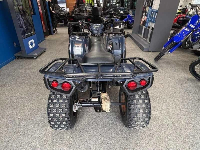 2024 Kawasaki Kawasaki Brute Force 300 2x4 alt
