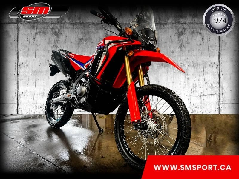 Honda Crf 300 Rally Abs 2023 alt