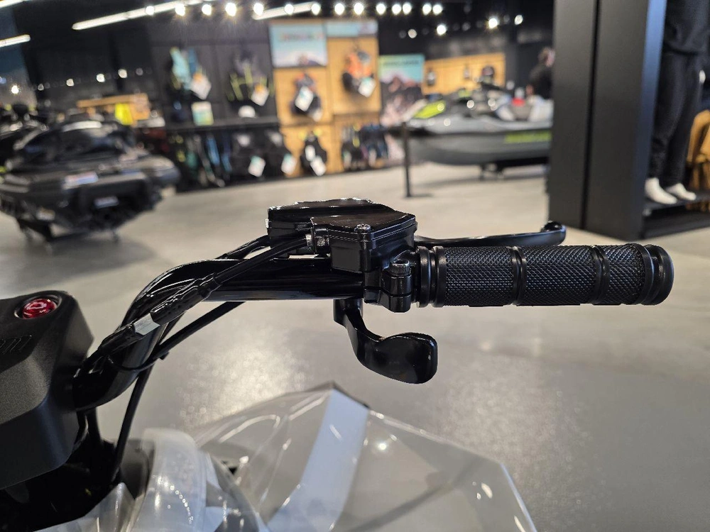 Can-am Renegade 110 Efi 2026 alt