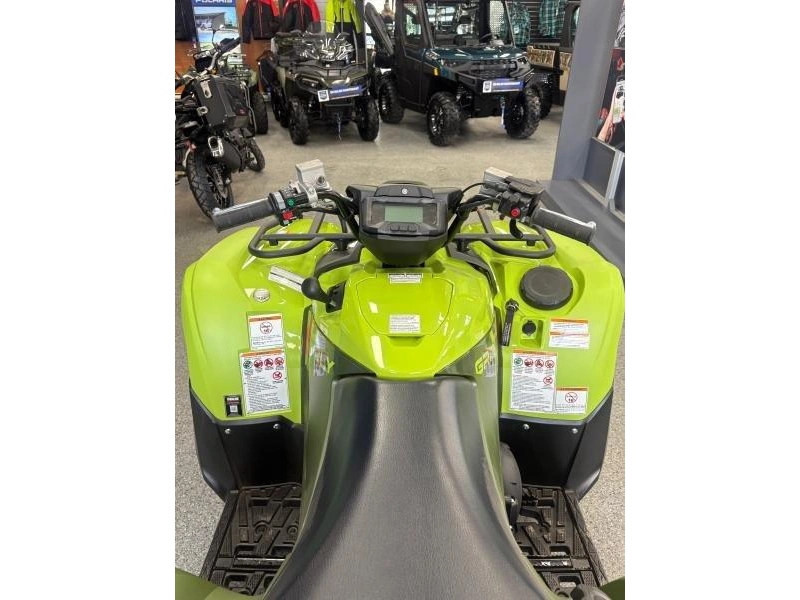 2026 Yamaha Yamaha Grizzly Dae alt