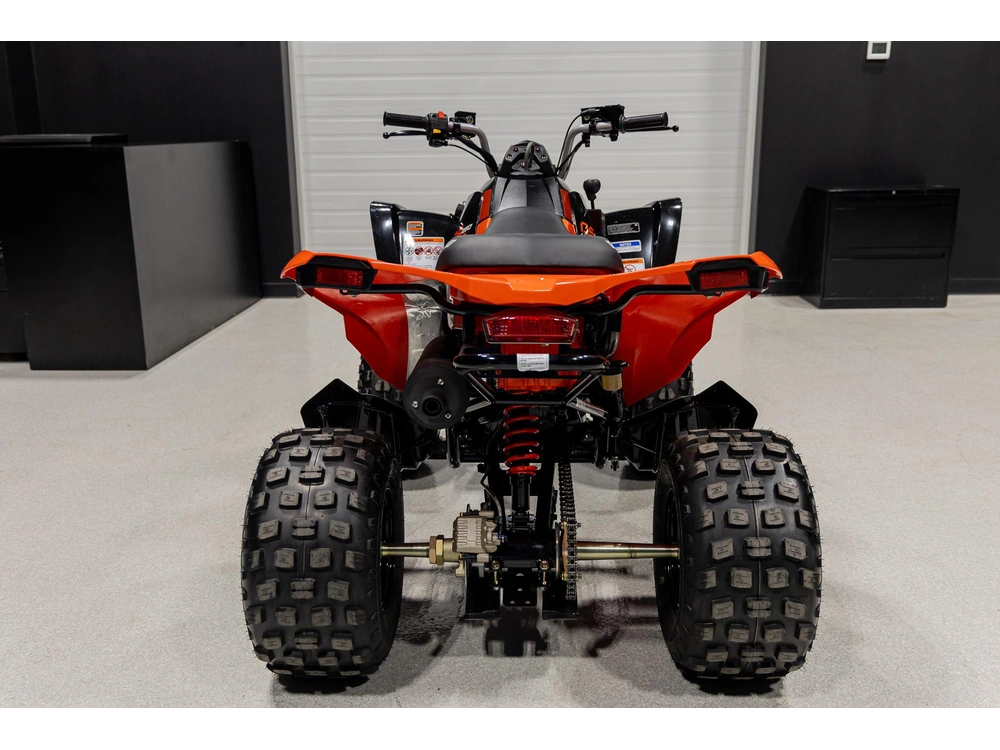 2026 Can-am Ds 250 3jta alt