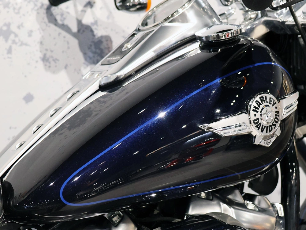 Harley-Davidson Fat Boy FLFBS 2019 — photo 7