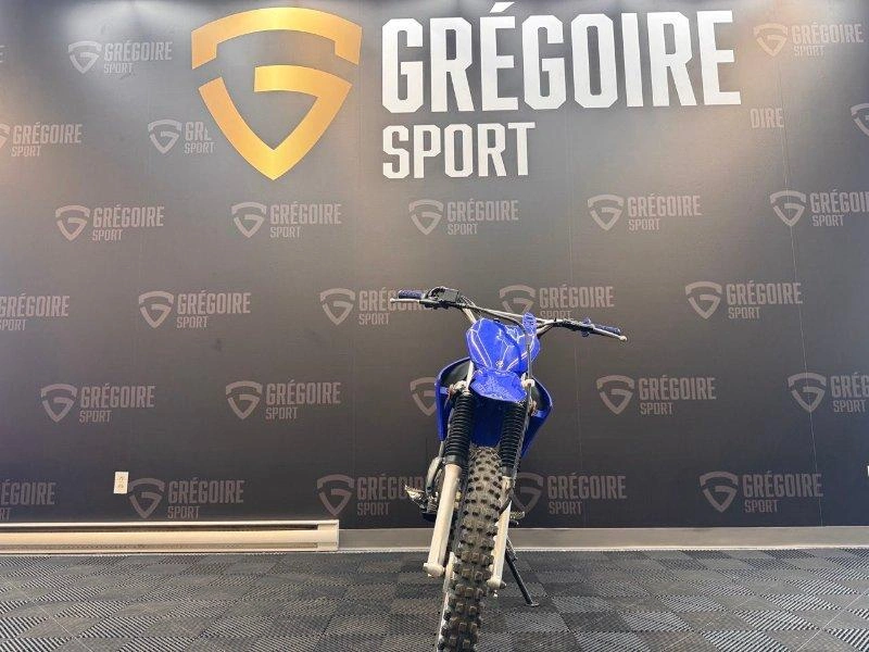 2024 Yamaha Tt-r125le alt