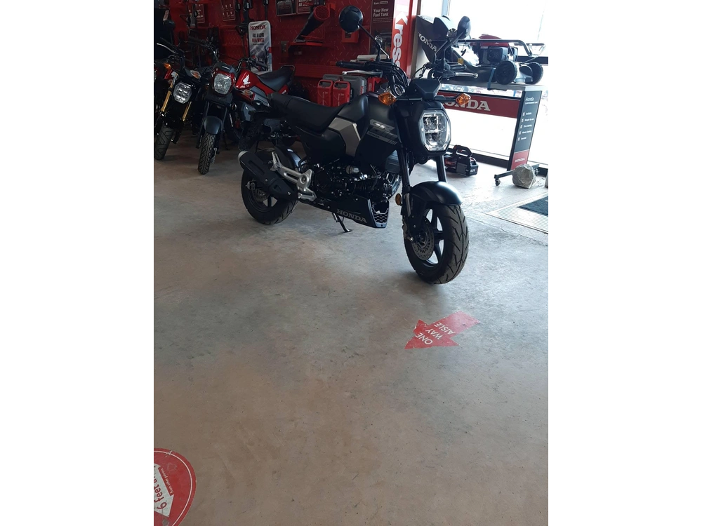 2025 Honda Grom Abs alt