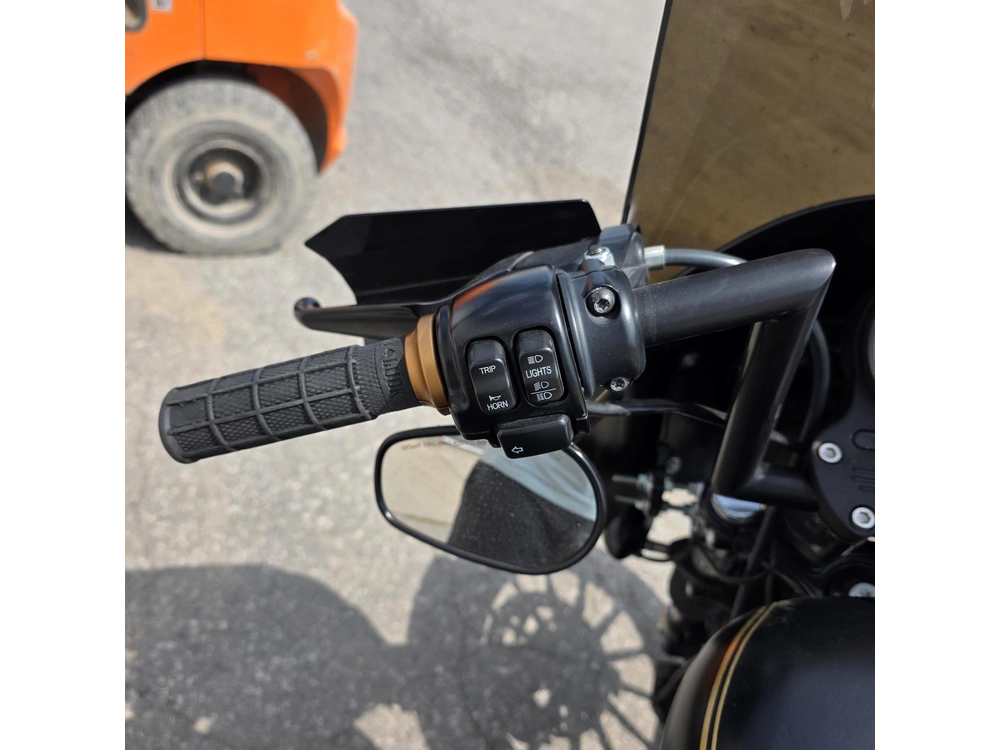 2015 Harley-davidson Xl883n - Sportster Iron 883 alt